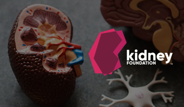 THE KIDNEY FOUNDATION